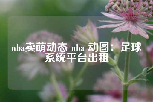 nba卖萌动态 nba 动图：足球系统平台出租