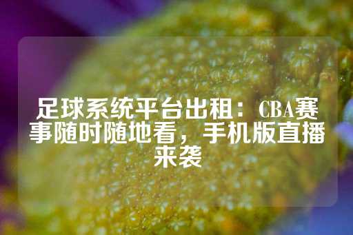 足球系统平台出租：CBA赛事随时随地看，手机版直播来袭