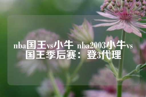 nba国王vs小牛 nba2003小牛vs国王季后赛：登3代理-第1张图片-皇冠信用盘出租