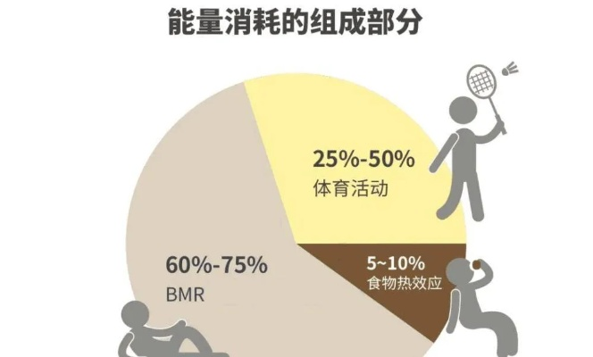 一小时羽毛球消耗热量有多少？-第2张图片-www.211178.com_果博福布斯