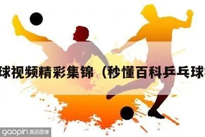 全网最全中国乒乓球解说视频合集，让你更详细了解乒乓球文化-第3张图片-www.211178.com_果博福布斯